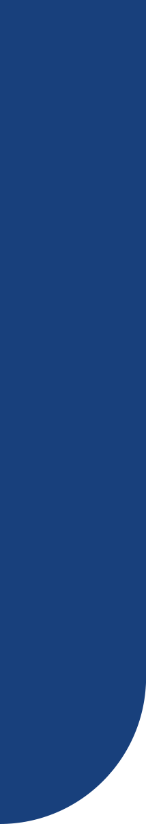 vendor/avantage/strategy/wp-content/uploads/sites/10/2020/04/bgn-slider-blue-corner-left.png